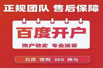 百度竞价与搜索引擎优化（SEO）结合的经典案例